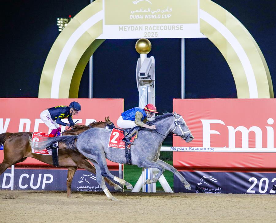 الجواد “هيت شو” يبحث عن مجد جديد في كأس دبي العالمي